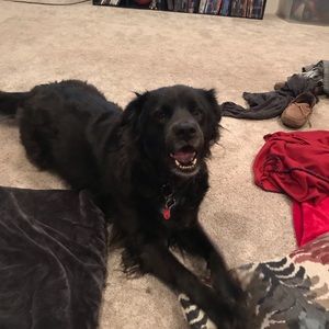 Meet your Posher, Carly